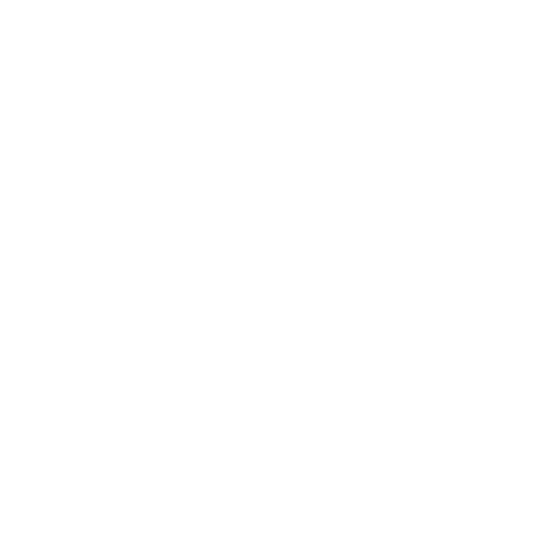 Profesionalna obsługa